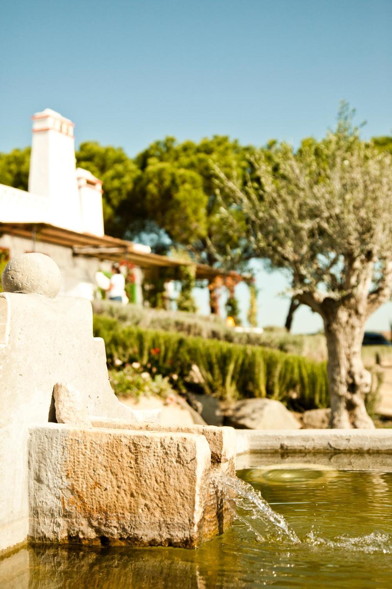 Casas De Juromenha Guest House Eksteriør bilde