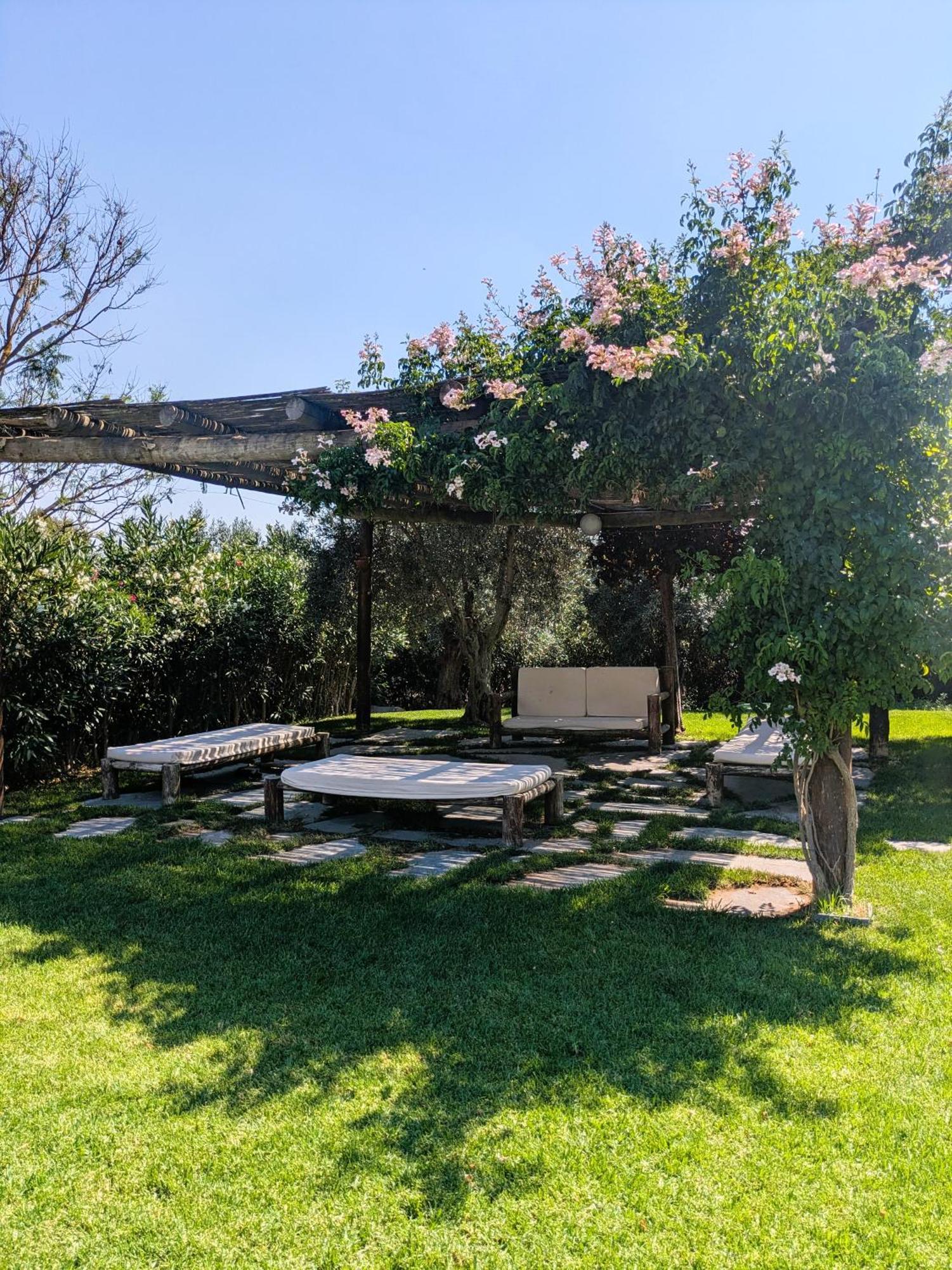Casas De Juromenha Guest House Eksteriør bilde