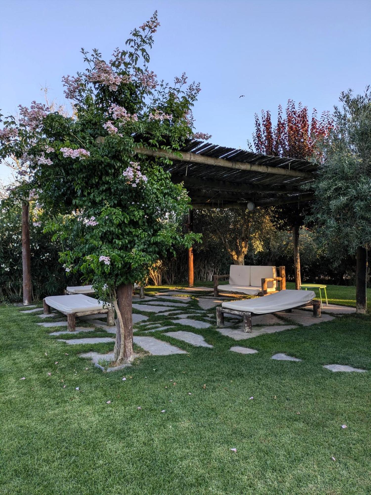 Casas De Juromenha Guest House Eksteriør bilde
